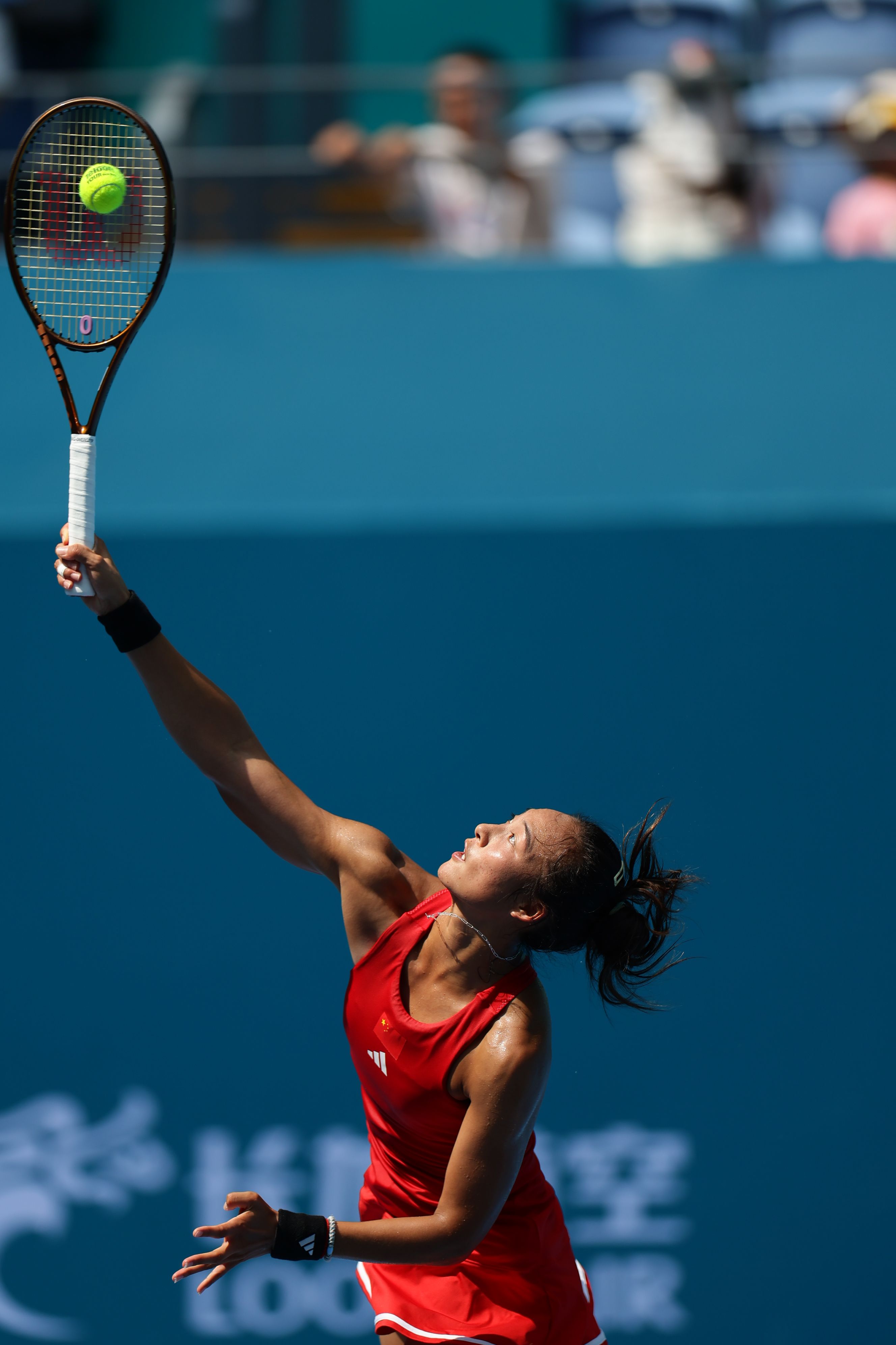 国际社会的 国际社会的