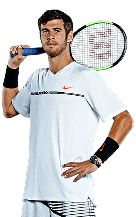 这句话并不 这句话并不